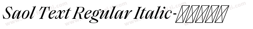 Saol Text Regular Italic字体转换